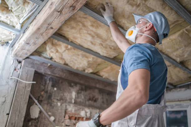 Best Wall Insulation Contractor  in National Harbor, MD